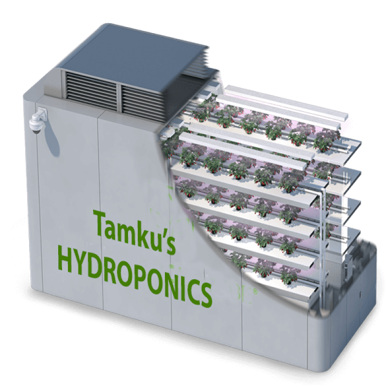 Tamku's Hydroponics